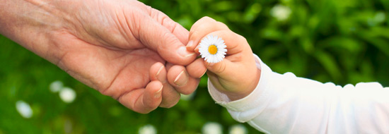 Darstellung von einer Hand eines Erwachsenen, die einem Kind ein Gänseblümchen gibt.